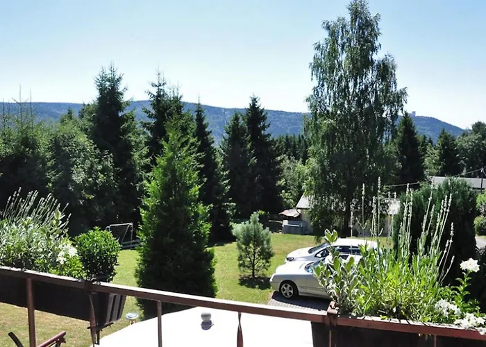 Cozy Forest Hideaway In Tatil Evi